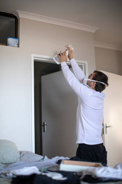 Best Attic Mold Removal  in Elmwood, LA