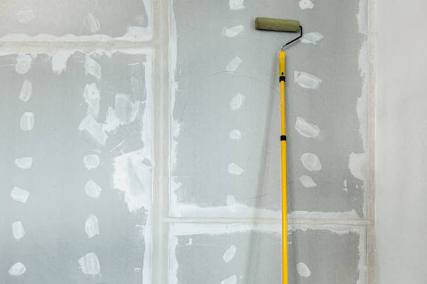 Best Industrial Mold Remediation  in Elmwood, LA