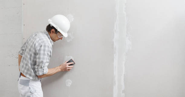 Best Environmental Consulting for Mold Prevention  in Elmwood, LA