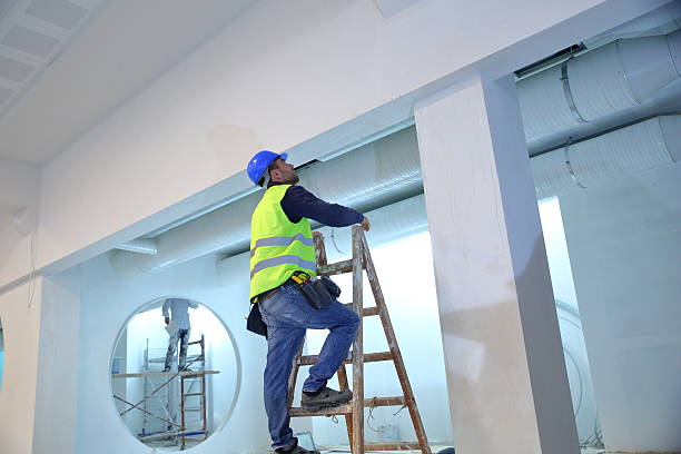 Environmental Consulting for Mold Prevention in Elmwood, LA